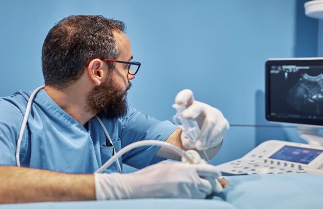 الموجات فوق صوتية